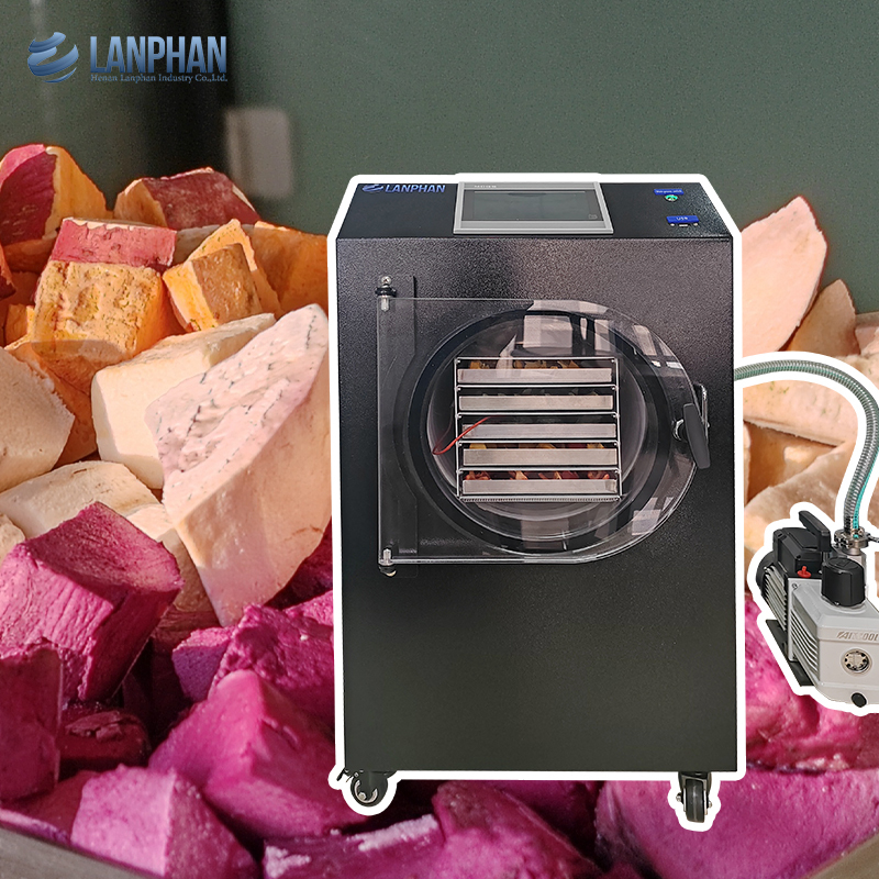 Automatic Small Home Freeze Dryer Machine for Fruit Food Meat Vegetable with Vacuum Pump