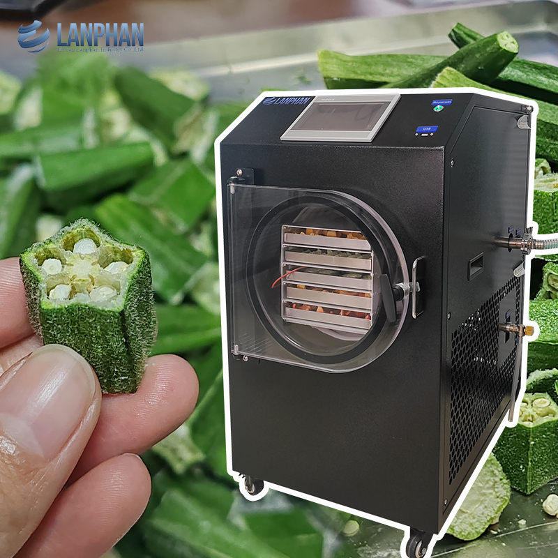 Automatic Small Home Freeze Dryer Machine for Fruit Food Meat Vegetable with Vacuum Pump