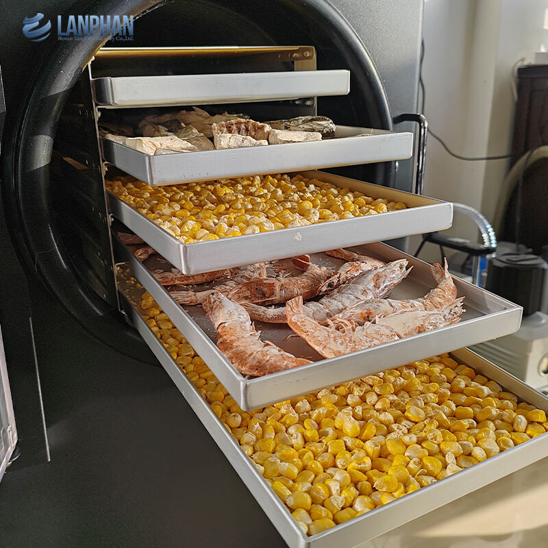 5-Tray Small Size Stainless Steel Freeze Dryer With Oil Pump For Candy Food