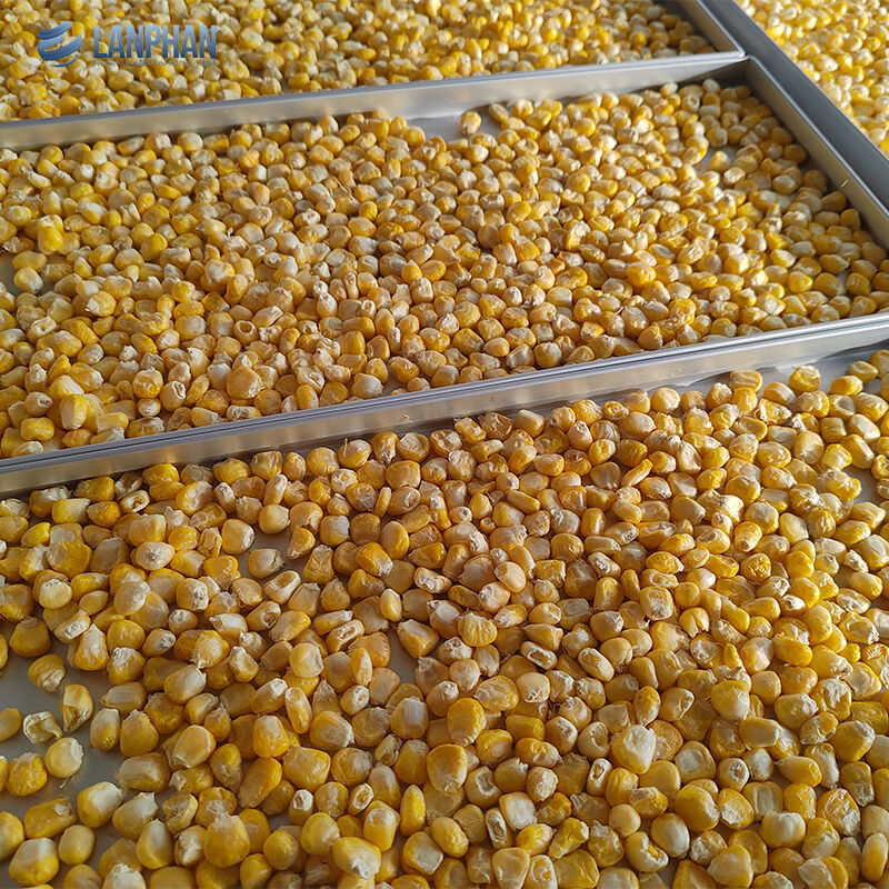 5-Tray Small Size Stainless Steel Freeze Dryer With Oil Pump For Candy Food