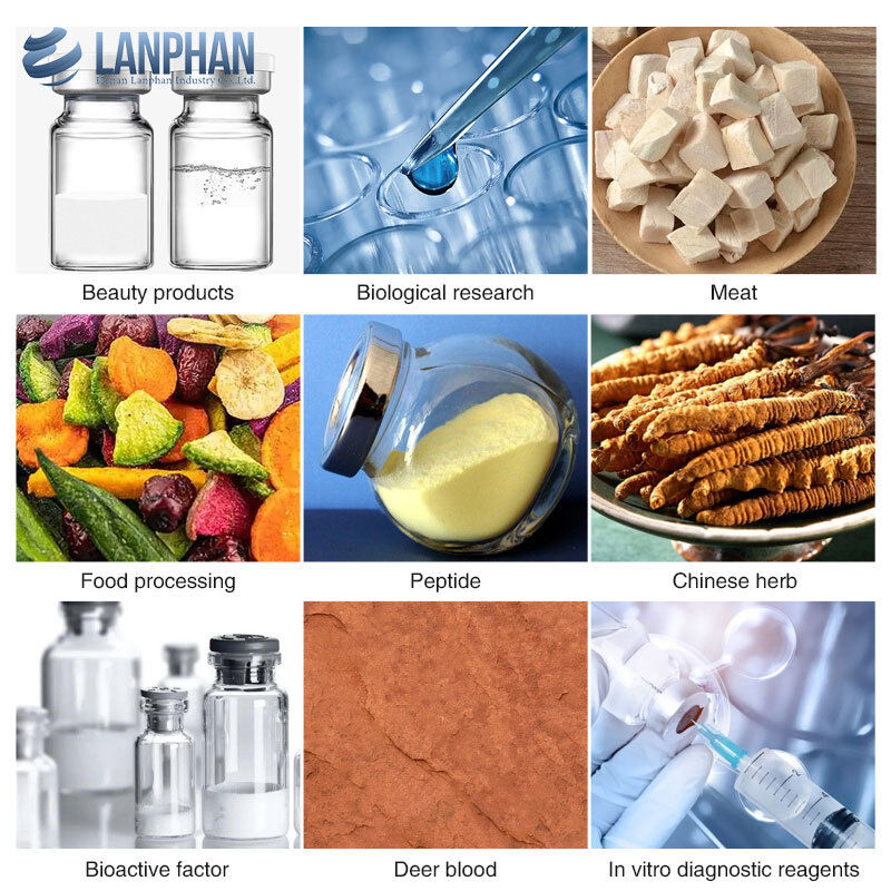 8kg/Batch Industrial Lab Freeze Dryer Lyophilizer for Microbial Products