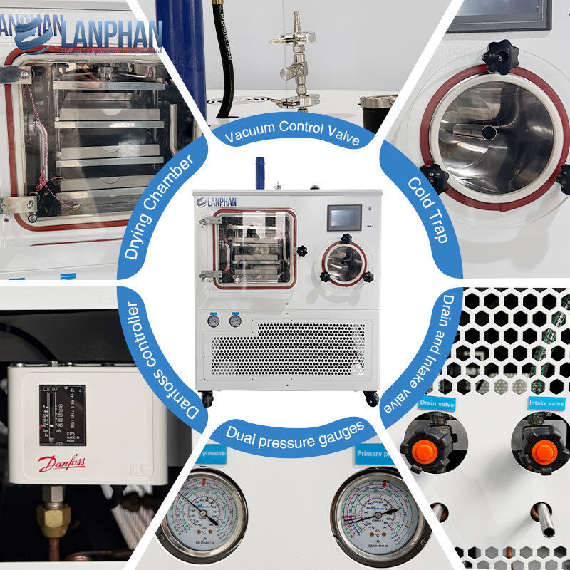 Laboratory Freeze Dryer Vacuum Drying Machine with 4kg/batch Capacity and -75℃ Cold Trap Temperature for Biological Food Formulation