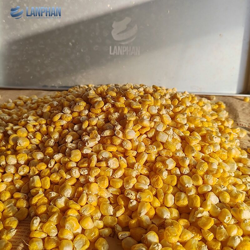 4-6Kg Automatic Small Food Fruit Meat Vacuum Freeze Dry Machine For Home Use