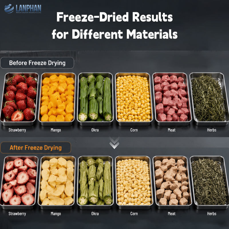 5 Trays Home Freeze Dryer Lyophilizer Machine with 4-6KG/batch Capacity and 220V 50HZ Power Supply