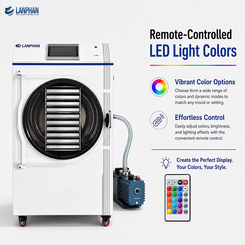 -60°C Cold Trap Vacuum Freeze Dryer 12–14kg/batch Freeze Drying Machine for Food Preservation