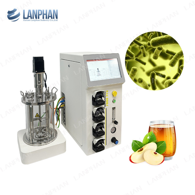 2l 5l 10l Automatic Spirulina Yeast Culture Glass Fermenter Bioreactor For Cell Culture