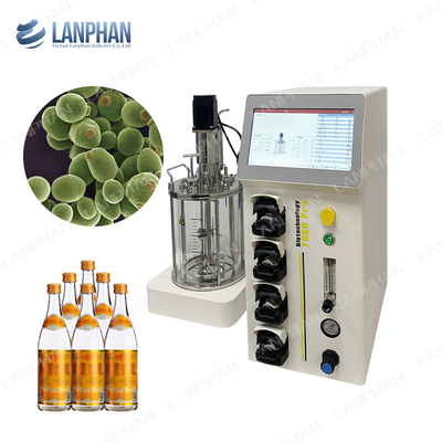 Lab Glass vaccine Fermentation Bioreactor fed batch Benchtop Stirred Tank Bioreactor