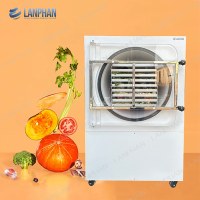 5M2 9-Layer Commercial Freeze Dryer Lyophilizer Fruit Vacuum Freeze Drying Machine