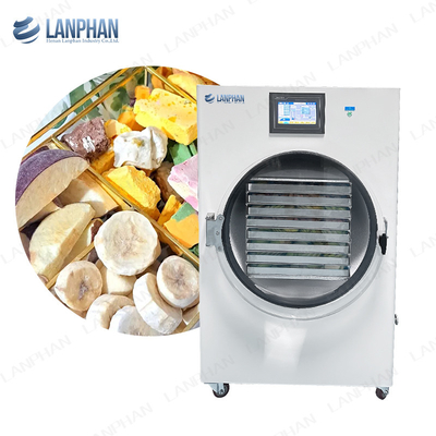 45kg 40kg Home Freeze Dryer Fruit Dog Treat Food Vegetable Fruit Freeze Dryer