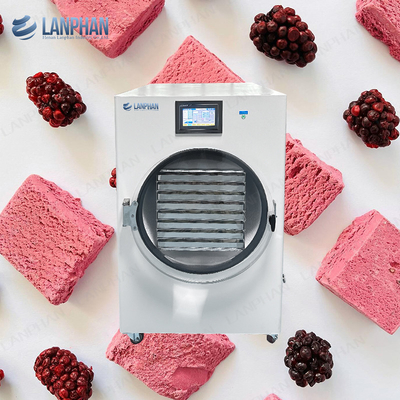 3M2 Lanphan Candy Cake Freeze Dryer Machine Fruit Vegetable Freeze Drying Lypholizer Machine