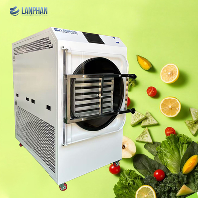 Multi-Function Lab Commercial Vegetable Snack 60KG Vacuum Freeze Dryer Lyophilizer Machine