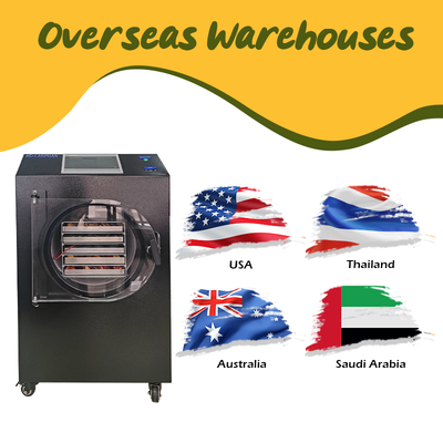 6kg 10kg 20kg Fruit Liofilizador Small Vacuum Freeze Drying Equipment Home Food Freeze Dryer